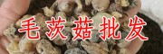 2018大山慈菇多少錢-山慈菇多少錢?