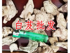 哪里有白芨|白芨產地|貴州白芨供應商|中藥材種植專業合作社圖3