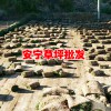 云南草坪種植銷(xiāo)售基地*?昆明草坪銷(xiāo)售_云南草皮（坪）供應(yīng)網(wǎng)