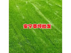 混播草生長高峰在什么時候?_圖1