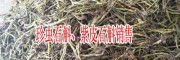 紫皮石斛多少錢一斤?紫皮石斛有什么功效與作用