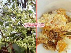 昆明土蜂蜜批發_土蜂蜜多少一公斤圖3