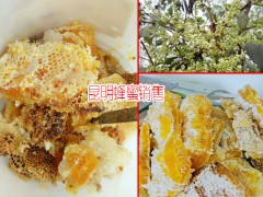 云南昆明土蜂蜜的特點圖3