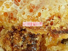 昆明的蜂蜜市場_昆明蜂蜜市場批發圖2