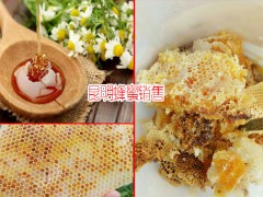 云南保山市土蜂蜜多少錢?_圖2