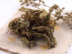 陸良曲靖燈盞花/種子、種苗生產(chǎn)基地、規(guī)范化種植示范基地圖3