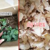 白及種苗多少錢一顆?種植一畝白及需要多少白芨種苗?