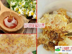 昆明蜂蜜_昆明蜂蜜 蜂王漿產品供應商圖3