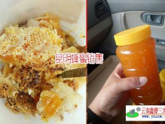 昆明蜂農說這樣辨別真假蜂蜜?圖2