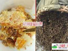 昆明蜂農說這樣辨別真假蜂蜜?圖3