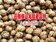 云南保山龍陵老品種麻核桃圖2