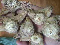 白芨怎么吃以及功效_中藥白芨怎么美容功效_白芨的美容功效圖3