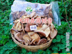 香菌干熊掌菌生產(chǎn)廠家-大理干香蕉&熊掌菌干貨圖2