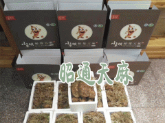 昭通天麻價格_昭通天麻種植圖3