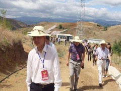 肉鵝養殖基地_免費肉鵝養殖技術大全資料圖3