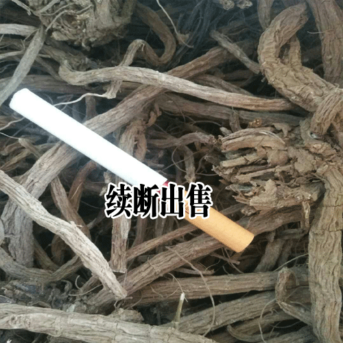 續斷種植如何提高出苗率