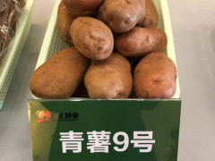 被譽(yù)為“薯中精品_奇彩土豆圖3