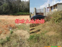 昆明機場周邊土地：小哨白漢場村土地1333平米轉讓圖3