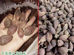 越南、紅河和文山草果產區量有多少?圖3