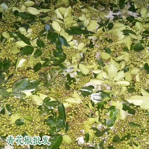 農戶儲存鮮青花椒方法不防試試