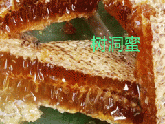 云南大排蜂供應商|大排蜂蜜照片圖2