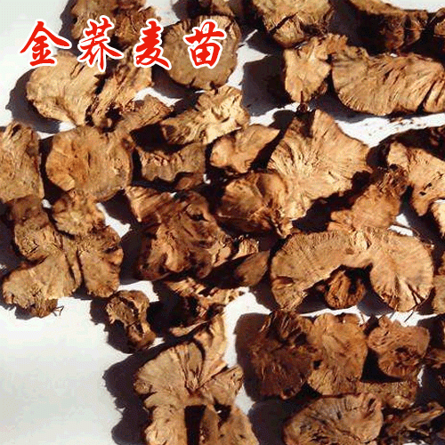 金蕎麥種植多久可以收?哪里有種苗銷售