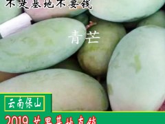 吃青芒果的好處？芒果怎么吃？圖3