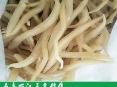 怎樣種植天門冬?天冬栽培技術(shù)必要條件圖3