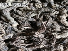 蜘蛛香多少錢一斤？2019蜘蛛香生產(chǎn)批發(fā)廠家圖2