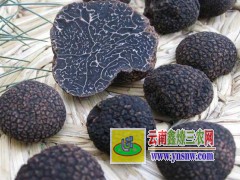 云南山珍集產(chǎn)品供求信息圖2