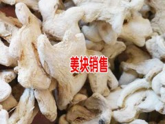 小黃姜干塊、干姜片銷(xiāo)售—云南羅平干姜生產(chǎn)商圖3