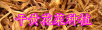 干黃花菜產(chǎn)地-做法有哪些？