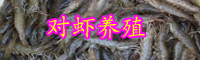 “對(duì)蝦之王”南美白對(duì)蝦吃什么長(zhǎng)大的？多少錢一斤？