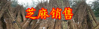 八谷之冠“芝麻開花節節高”是什么意思？