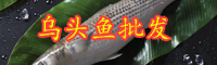 云南烏頭魚價格在多少錢一斤？垂釣時間在什么時候？