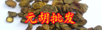 云南元胡價(jià)格多少錢(qián)一斤？種植前景怎么樣？