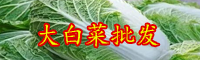 云南大白菜價格現低谷是什么情況？多少錢一斤？