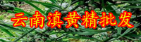 黃精價錢多少錢一斤？種植前景和經濟效益如何？