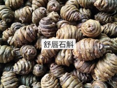 鐵皮石斛種苗&價格多少錢一株？鐵皮石斛栽培種植方法你掌握了嗎？圖3