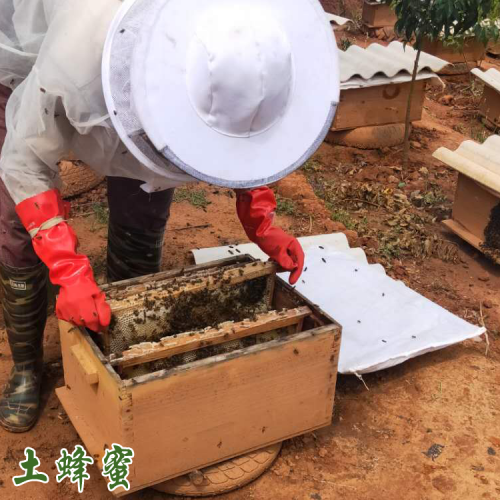 蜂蜜保質(zhì)期多長時間？正確保存方法十年都不過期！