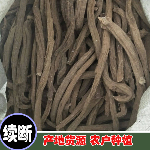 續斷價錢多少錢一斤？怎樣栽種？有什么作用及功效？