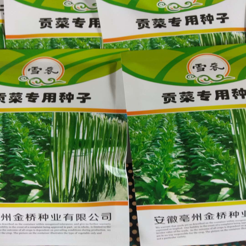 貢菜圖片_迪慶貢菜批發圖片