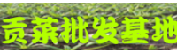 楚雄人工種植貢菜_貢菜種植多久可以采收