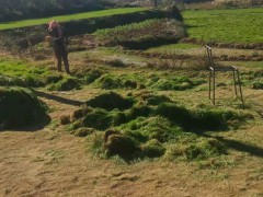 草坪批發行情網_草坪怎樣養護_草坪直銷基地圖3