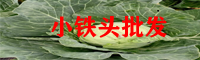 小鐵頭價格查詢網(wǎng)_小鐵頭種植管理技術(shù)