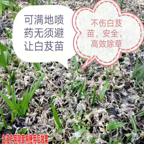 昆明藥田寶中藥材除草劑_云南昆明市中藥材除草劑批發