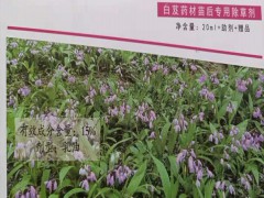 白芨種植/白芨中藥材種植基地/白芨基地專用除草劑圖2