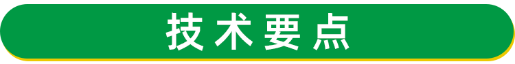 天冬苗 天門冬種苗批發(fā)供應(yīng) 天冬種苗價格 天冬種植 基地現(xiàn)挖現(xiàn)發(fā)