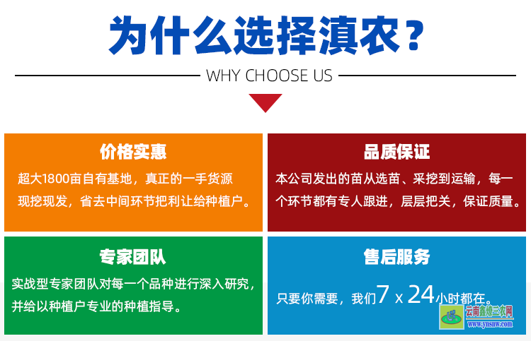 天冬苗 天門冬種苗批發(fā)供應(yīng) 天冬種苗價格 天冬種植 基地現(xiàn)挖現(xiàn)發(fā)