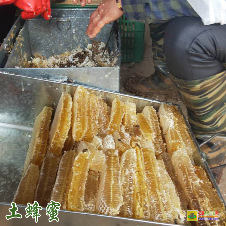 德宏蜂蜜價(jià)格多少錢(qián)一斤 土蜂蜜價(jià)格多少錢(qián)一斤 云南蜂蜜價(jià)格